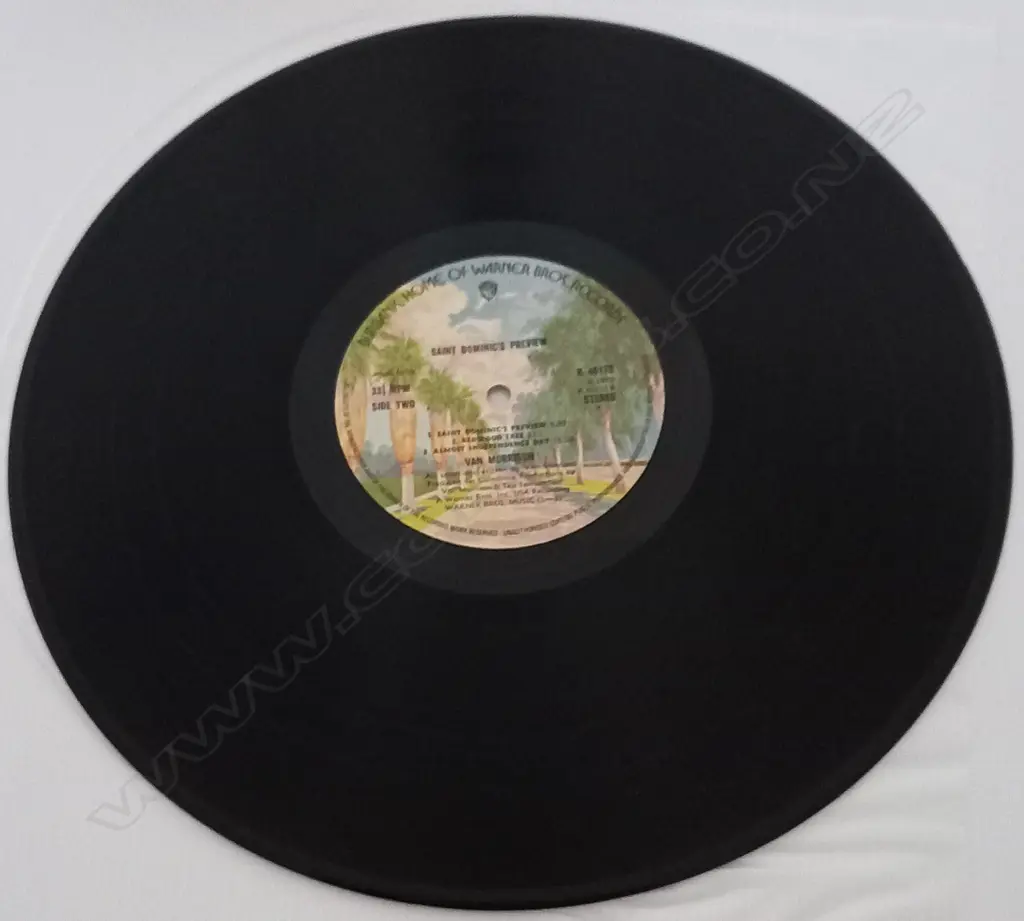 Van Morrison, Saint Dominic's Preview Image 1++